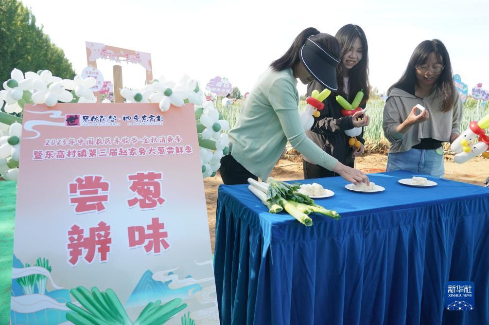 乐游网官网下载